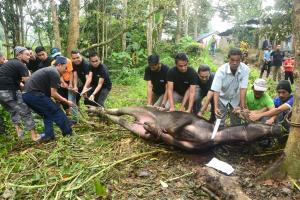 Program Ibadah Korban Kumpulan PKNP 2017