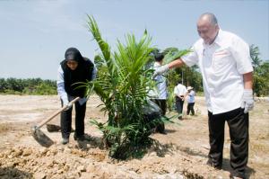 Sekitar Majlis Tanam Pokok Kelapa Sawit Oleh KE & Pengurusan PKNP